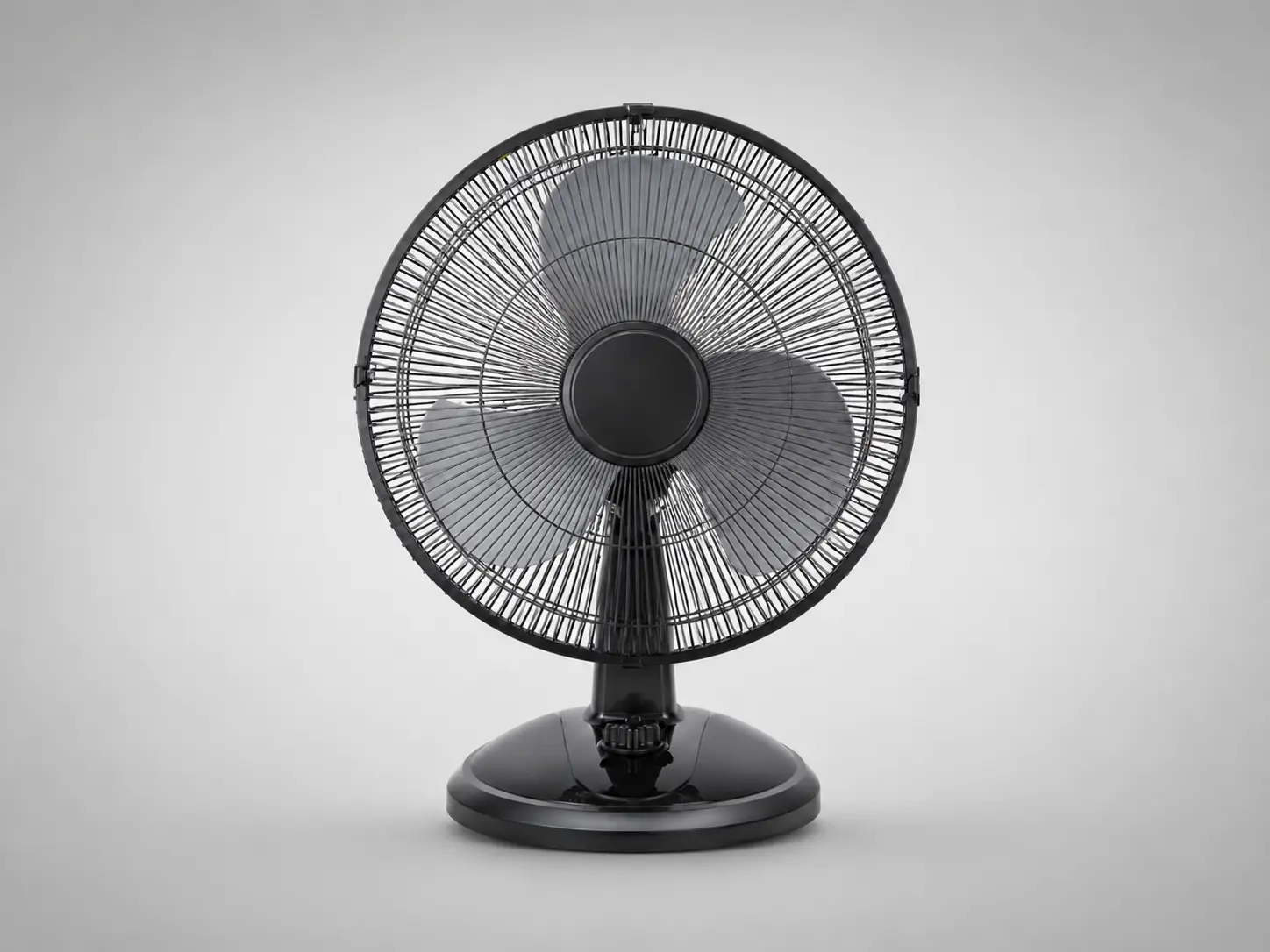 Van Fan 6